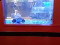 -东富酒家(龙湖西溪天街店)