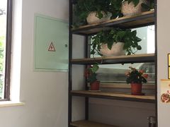 -土桥手掌鸡·26年灌县老味道(都江堰店)