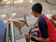 -清迈夜间动物园