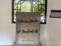 -上海醉白池公园