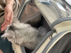 -美联众合动物医院·24h京西诊疗中心