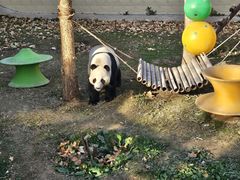 -石家庄市动物园