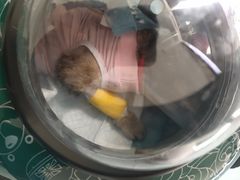 -佳怡动物医院·平价24小时·猫专科骨外科