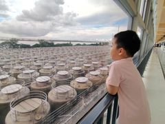 -厨邦酱油文化博览馆