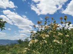 -鬼笑石后山停车场