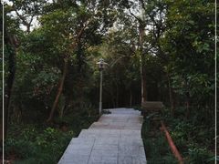 -小南山公园