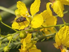 -北京植物园-展览温室