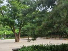 -元大都城垣遗址公园
