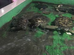 -常州海昌海洋探索馆