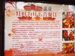 -香山公园