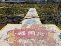 -红山村