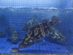 -香山湖渔家大院