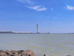 -上海吴淞炮台湾国家湿地公园