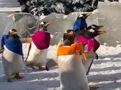 -波塞冬旅游度假区