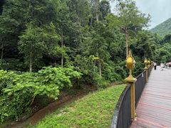-西双版纳原始森林公园