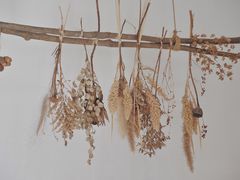 -灶咖KITCHEN