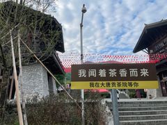 -大唐贡茶院