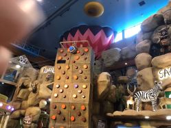 -卡通尼·Safari非洲探索乐园·生日会(金桥国际商业广场店)