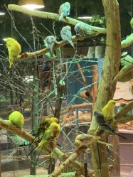 -酷嗒动物文化乐园(cutezoo西溪乐天城店)