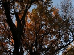 -西湖风景区十里琅珰-五云山