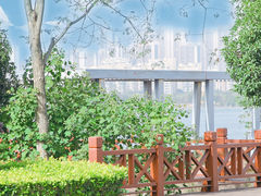 -金银湖国家城市湿地公园