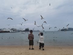 -海驴岛(荣成市)