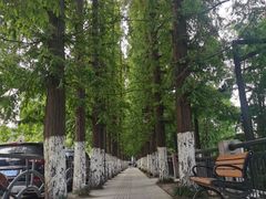 -南通濠河风景名胜区