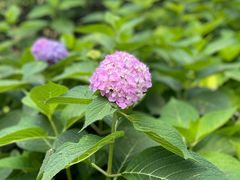 -陶然亭公园
