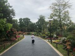 -东莞植物园