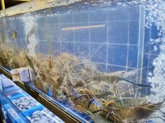 -星椰叻沙·椰浆鲜虾面(江南西店)