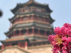 -颐和园