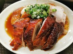 烧鸭拼油鸡-鹅最好(南光店)