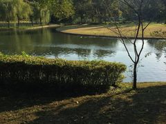 -上海佘山世茂艾美酒店