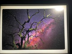 -罗红摄影艺术馆