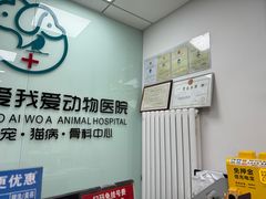 -中农大我爱我爱动物医院·核磁CT·猫病·24小时夜诊中心(石佛营店)