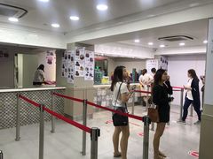 -珍妮曲奇聪明小熊(尖沙咀店)