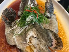 -金粤九号(李公堤店)