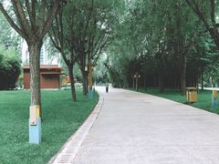 -唐城墙遗址公园