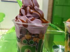 -Salud撒露欧洲冻酸奶(蓝色港湾店)