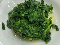 白酒有机豆苗-瑞福园联谊餐室(茂名南路店)