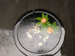 -天目湖御水温泉·度假酒店