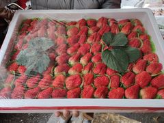 -红星农博物流中心