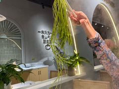 水性杨花-花菇朵 ll 野生菌锅·精品滇菜(后沙峪店)