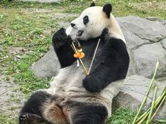 -上海野生动物园