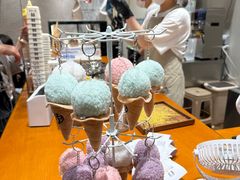 -野人先生现做冰淇淋(北京环宇荟店)