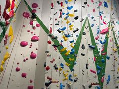 -绿壁虎攀岩基地(Tcar店)