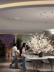 -广州美莱医疗美容医院