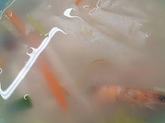 -老福洲(西洪路店)