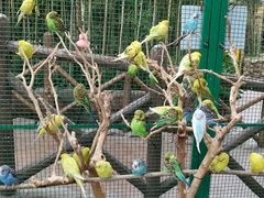 -杭州开元森泊度假乐园