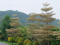 -东莞植物园